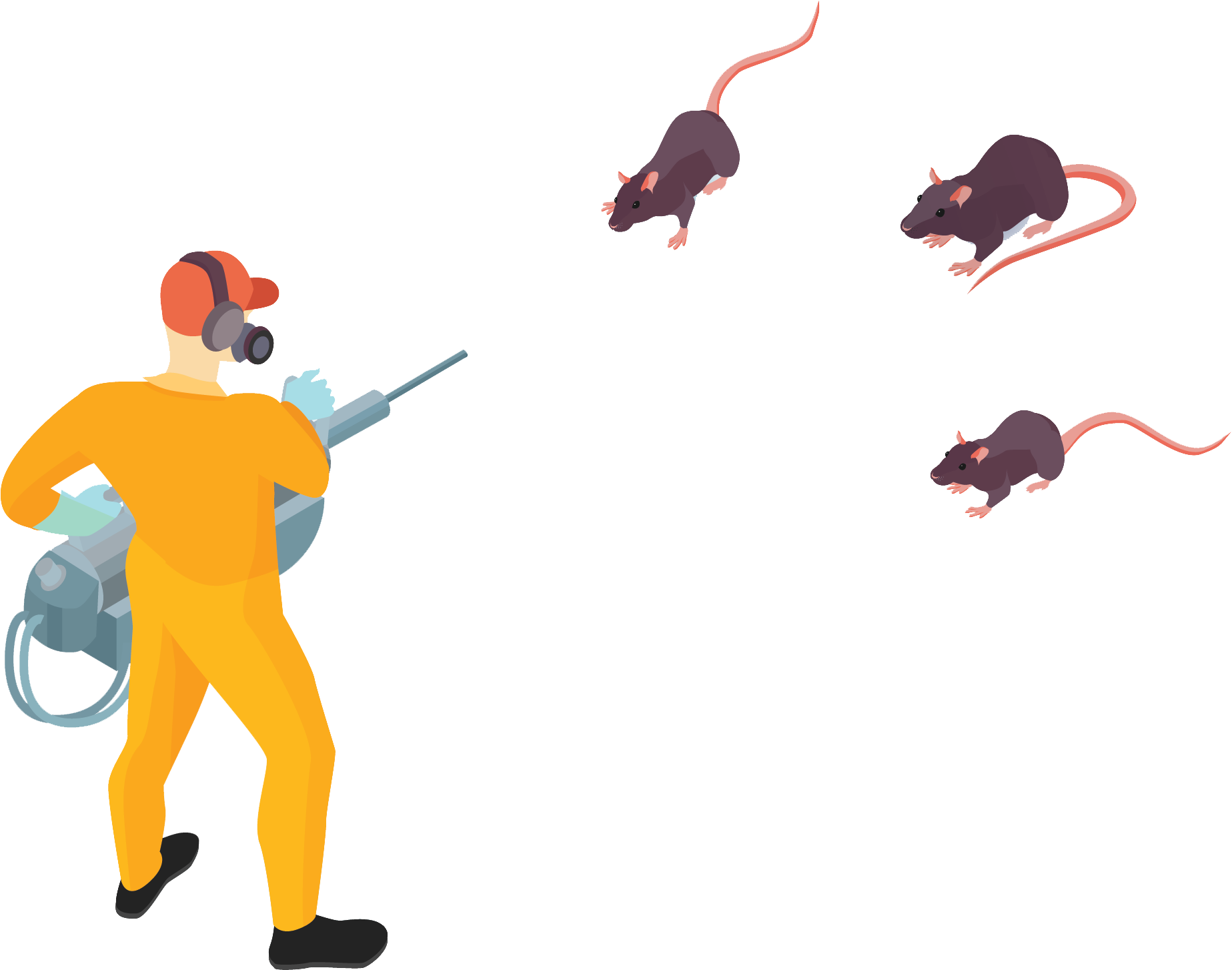 FUMIGATION services Image